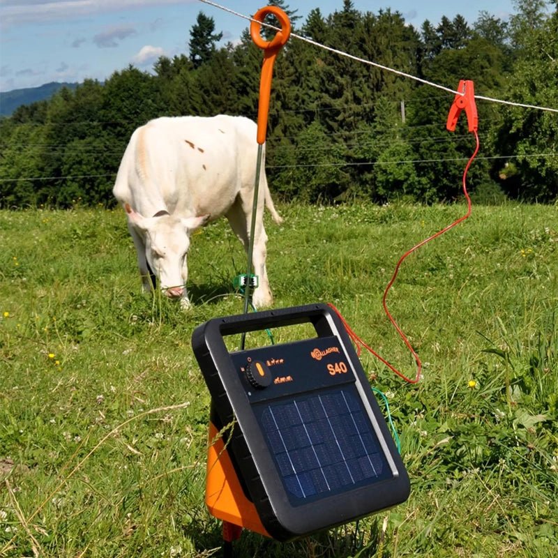 Gallagher S40 solar schrikdraadapparaat inclusief batterij (6 V - 10 Ah) - afrasteringsmateriaal